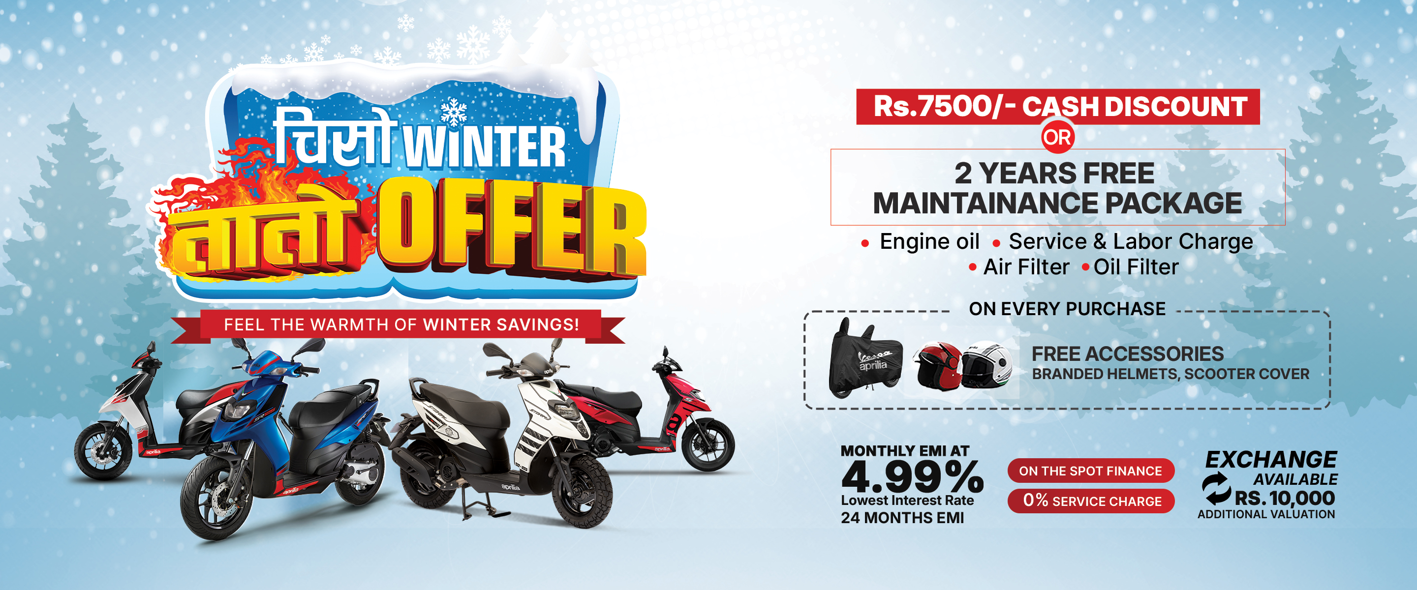 Chiso Winter    Tato Offer